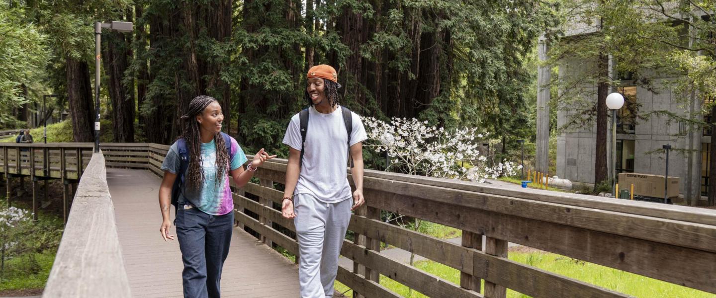 Догги стиліндегі үлкен писькилер